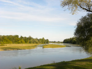 Lire la suite à propos de l’article Au fil de l’eau